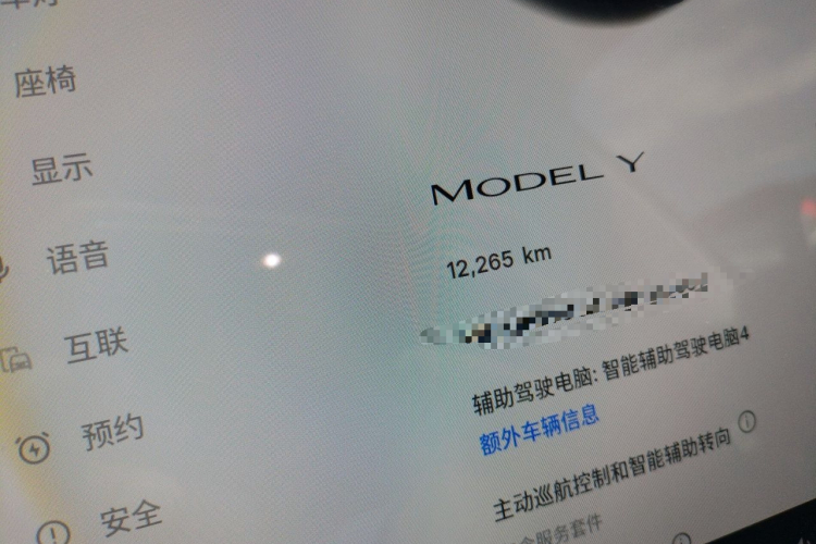 Tesla Model Y 2025 immagine di auto #8
