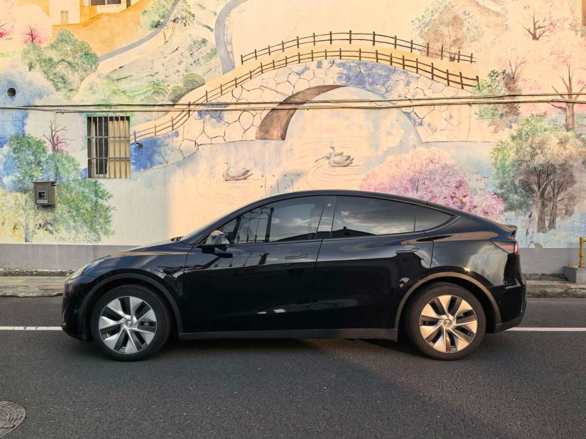 Tesla Model Y 2023 #6 Tesla Model Y 2023 car image #6
