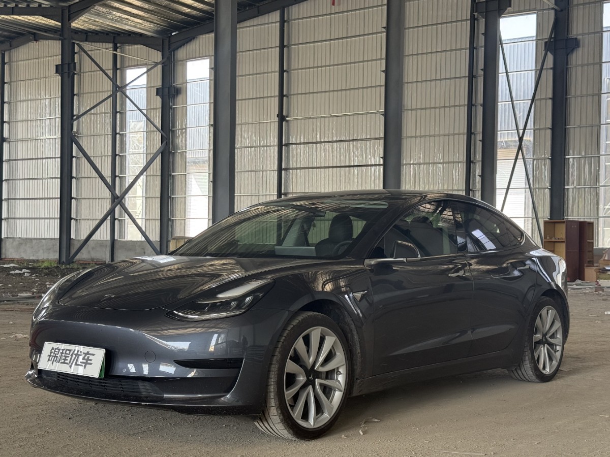 Tesla Model 3 2020 car image #2