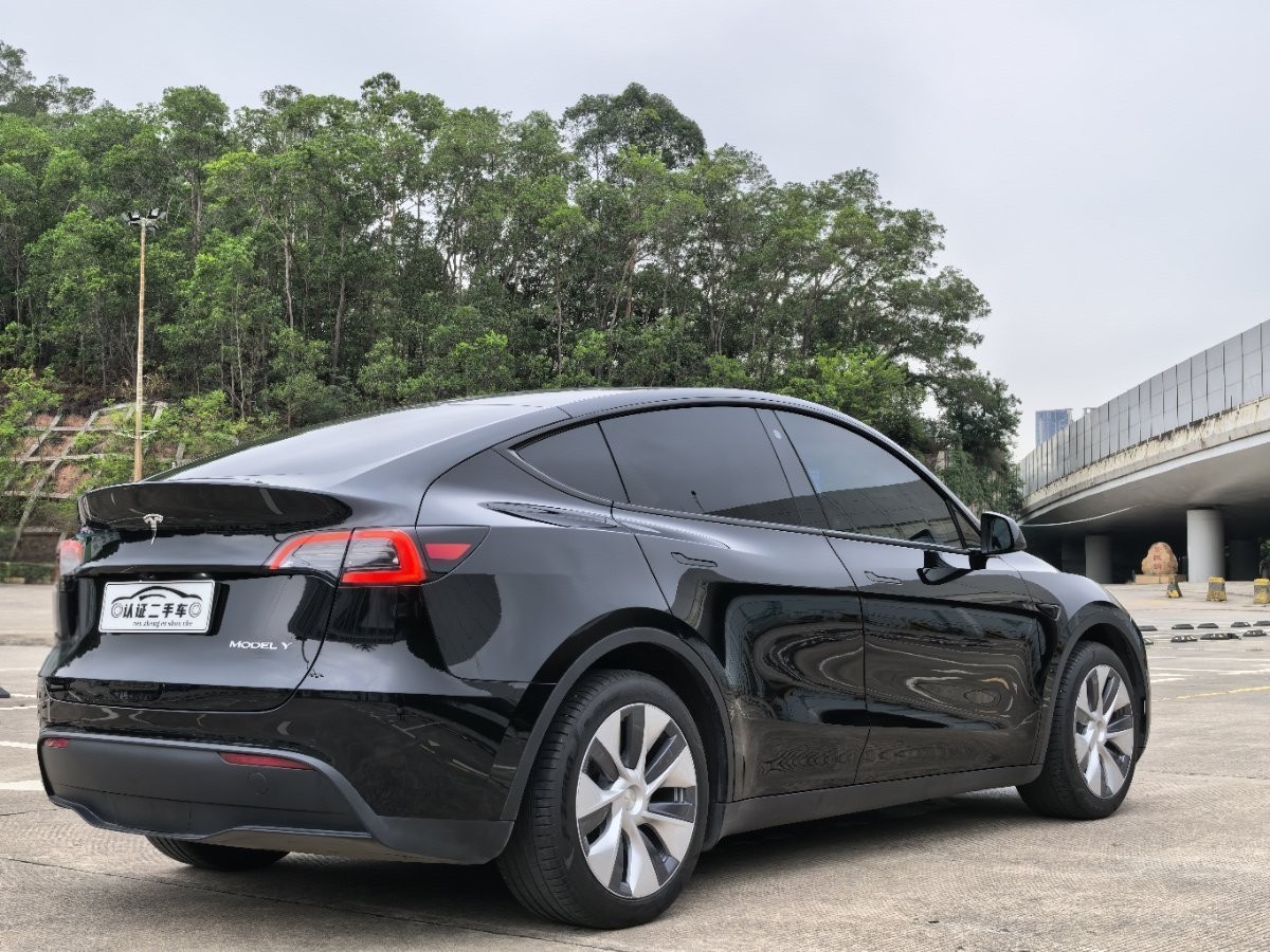 Tesla Model Y 2021 car image #10