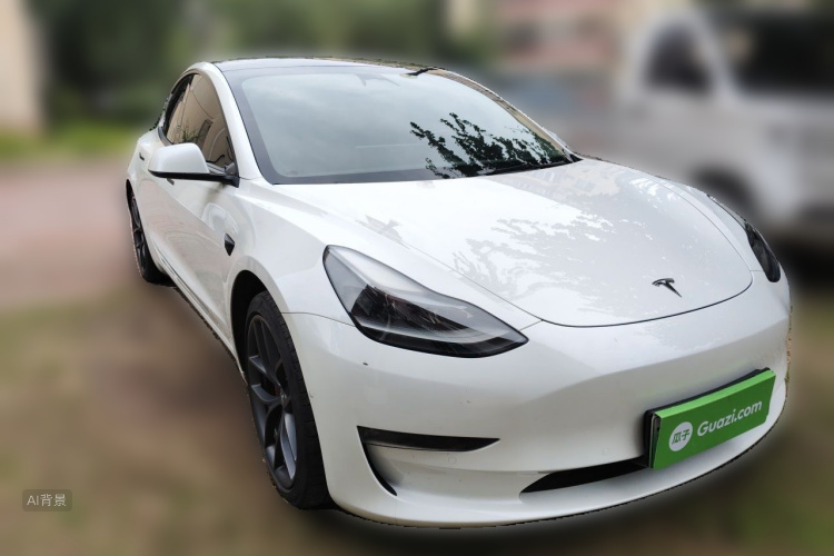 Tesla Model 3 2021 #4 Tesla Model 3 2021 car image #4