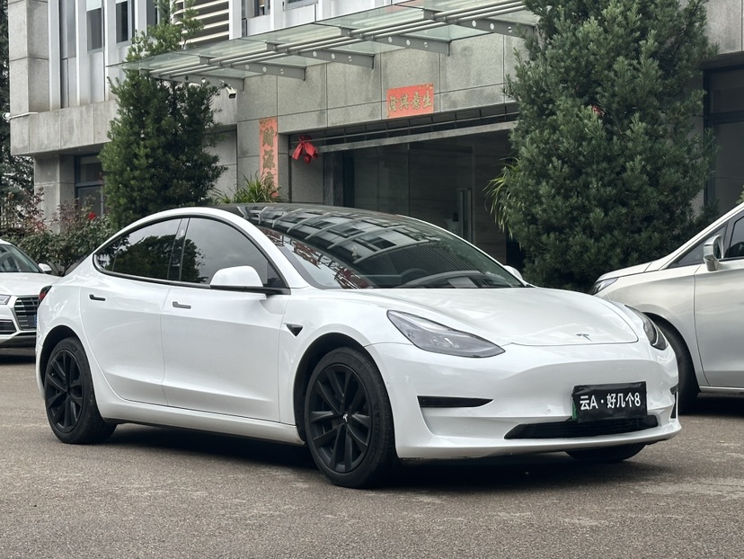 Tesla Model 3 2022 #3 Tesla Model 3 2022 car image #3