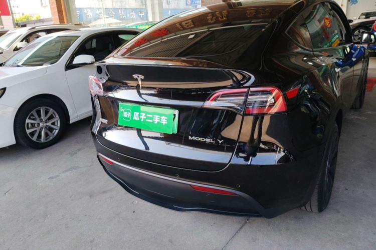 Tesla Model Y 2023 #6 Tesla Model Y 2023 car image #6