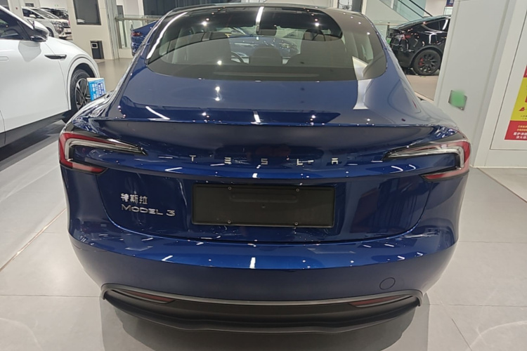 Tesla Model 3 2023 car image #6