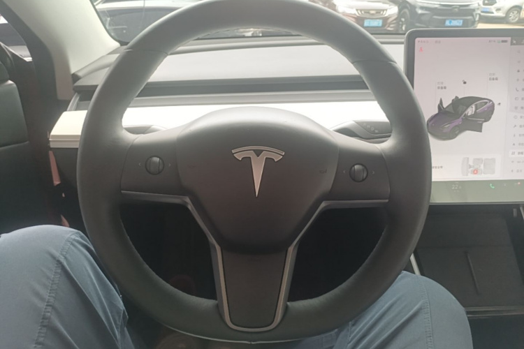 Tesla Model 3 2020 #11 Tesla Model 3 2020 car image #11