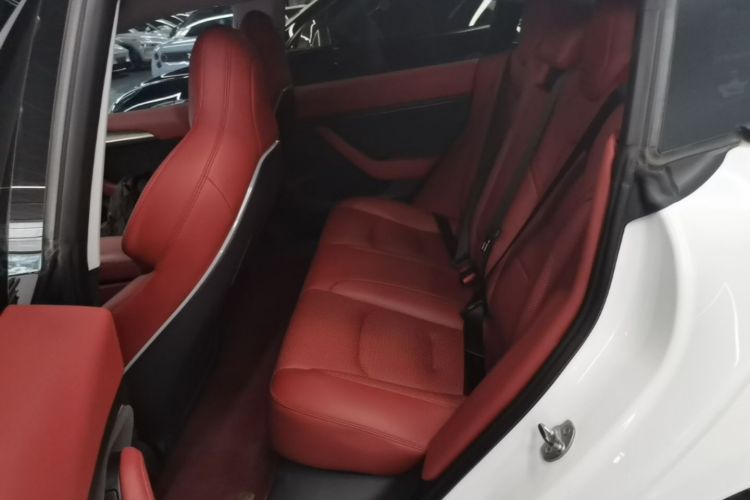 Tesla Model 3 2021 #17 Tesla Model 3 2021 car image #17