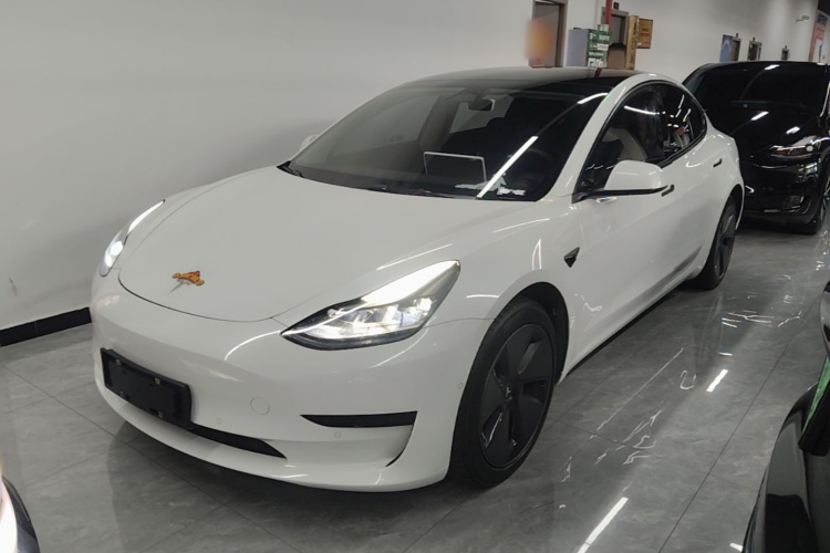 Tesla Model 3 2022 #2 Tesla Model 3 2022 car image #2
