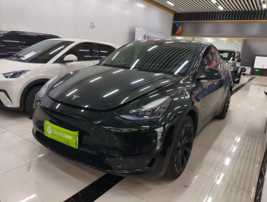 Tesla Model Y 2023 Tesla Model Y 2023 car image