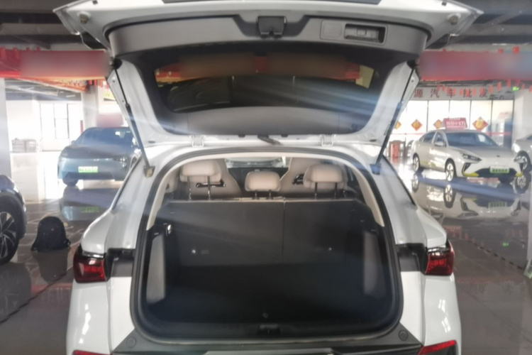 BYD Yuan Plus 2024 car image #19