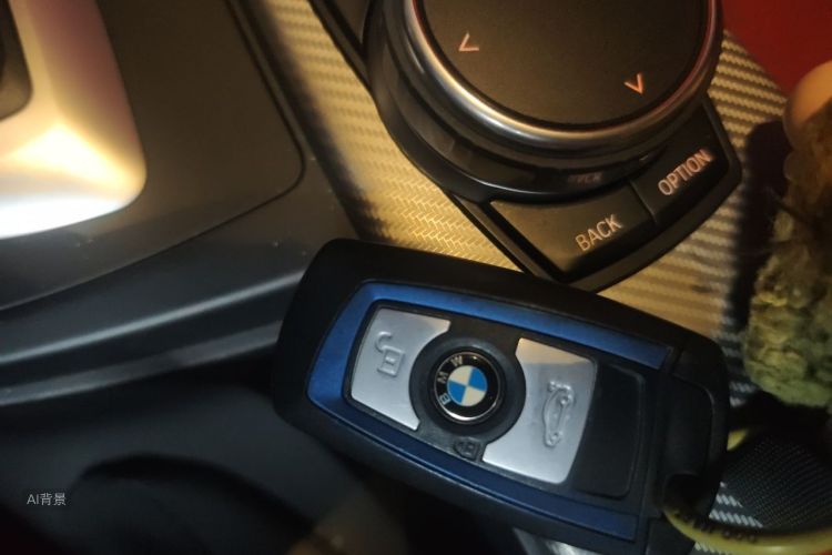 BMW 3 Series 2019 car image #10