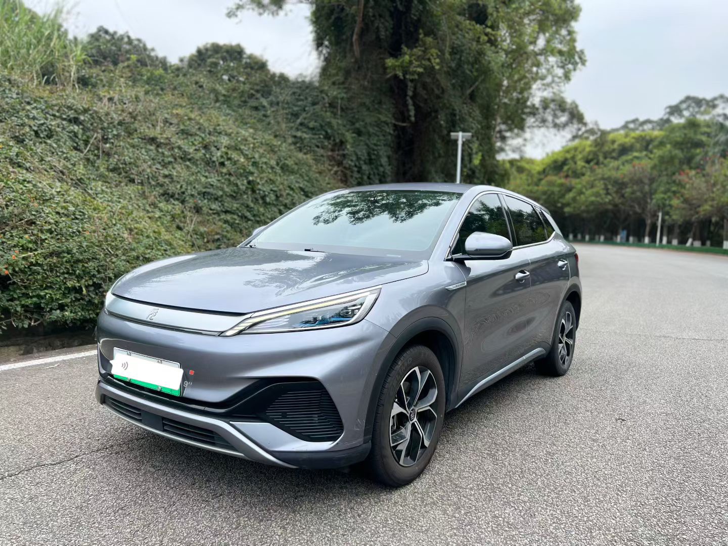 BYD Yuan Plus 2024 汽车图片 