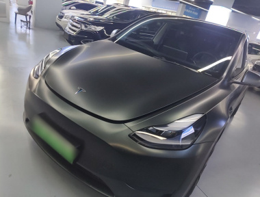 Tesla Model Y 2022 Tesla Model Y 2022 car image