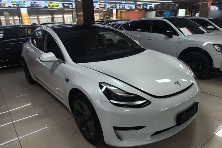Tesla Model 3 2020 #4 Tesla Model 3 2020 car image #4