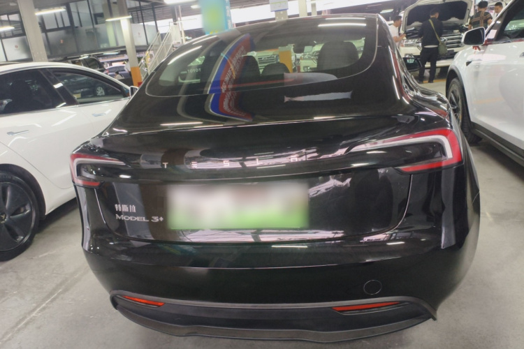 Tesla Model 3 2024 #6 Tesla Model 3 2024 car image #6