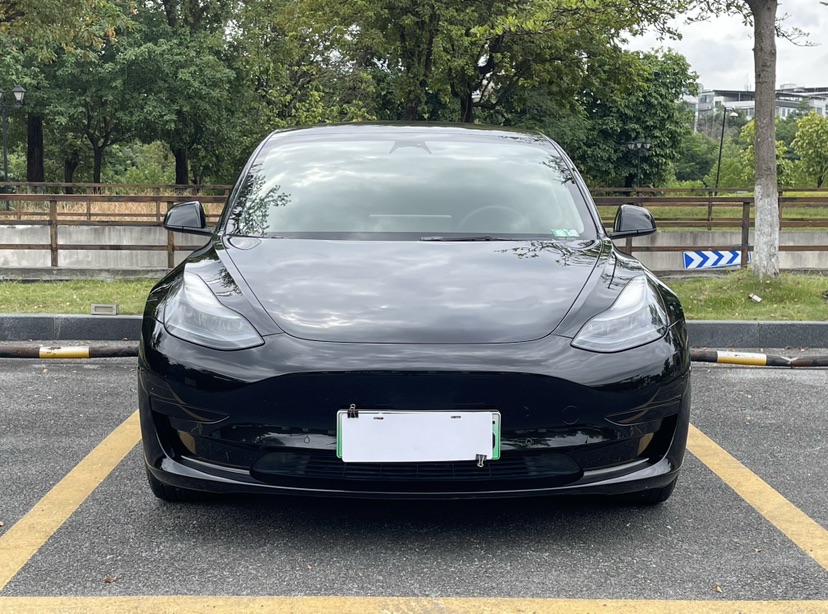 Tesla Model 3 2023 #2 Tesla Model 3 2023 car image #2