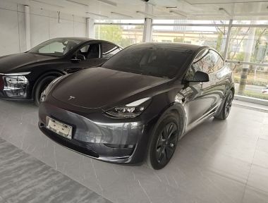 Tesla Model Y 2024 Tesla Model Y 2024 car image