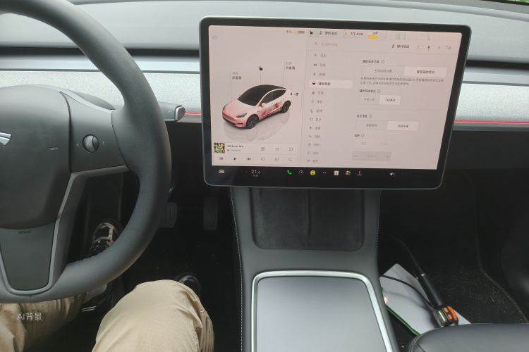 Tesla Model Y 2024 car image #15