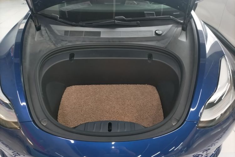 Tesla Model 3 2020 car image #20
