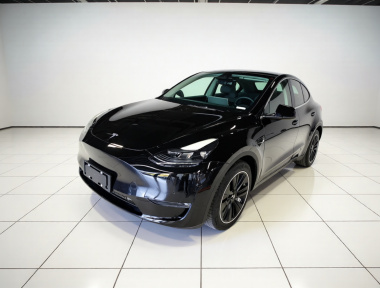 Tesla Model Y 2021 car image 