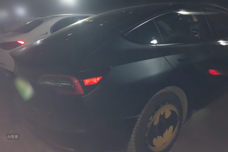 Tesla Model 3 2021 imagem de carro #7