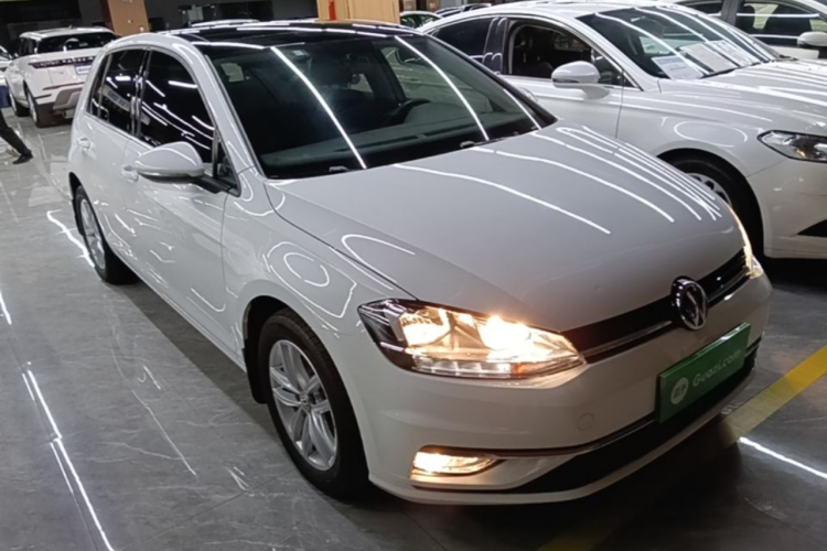 Volkswagen Golf 2019 car image #4