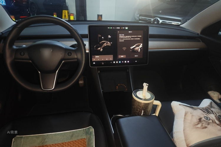 Tesla Model 3 2020 #11 Tesla Model 3 2020 car image #11