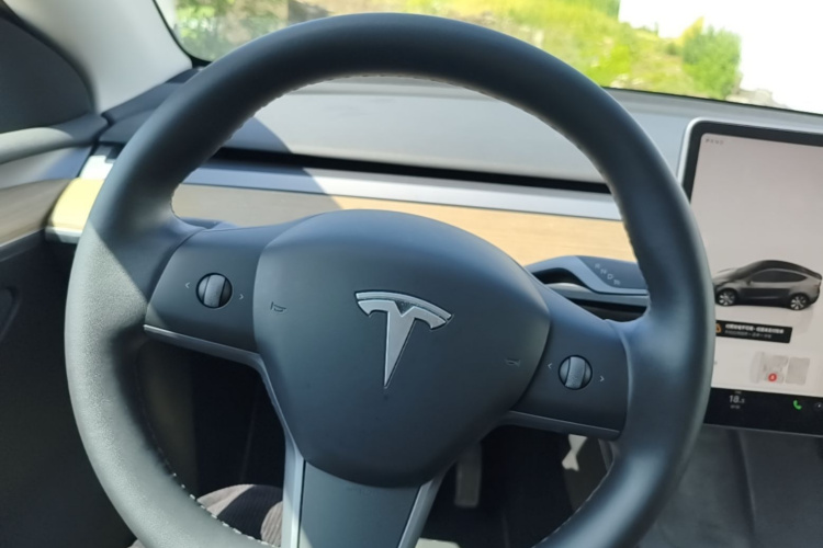 Tesla Model Y 2022 car image #11