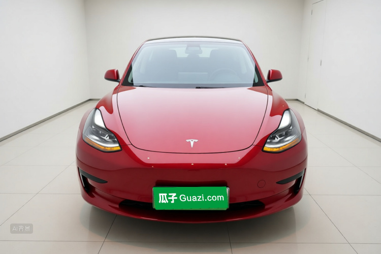 Tesla Model 3 2021 #3 Tesla Model 3 2021 car image #3