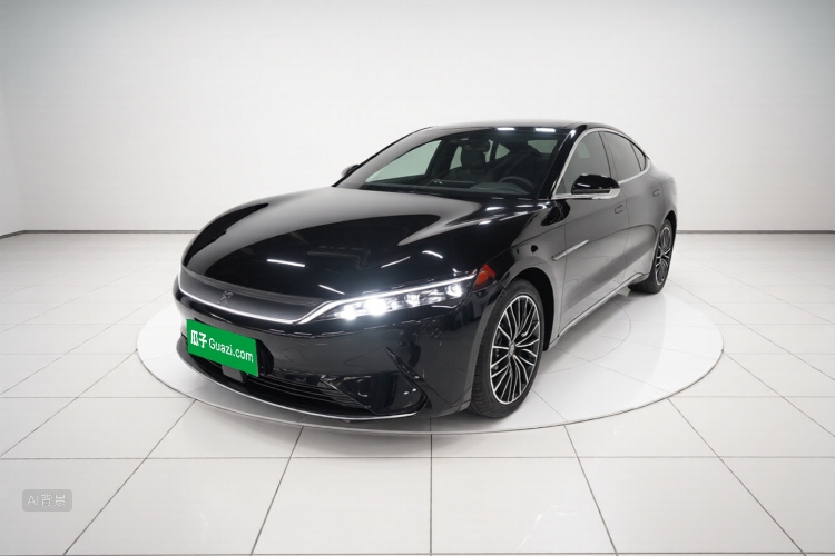 BYD Han 2022 immagine di auto #2