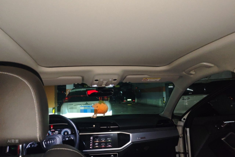 Audi Q3 2019 car image #20