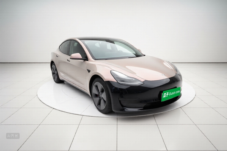 Tesla Model 3 2021 car image #4