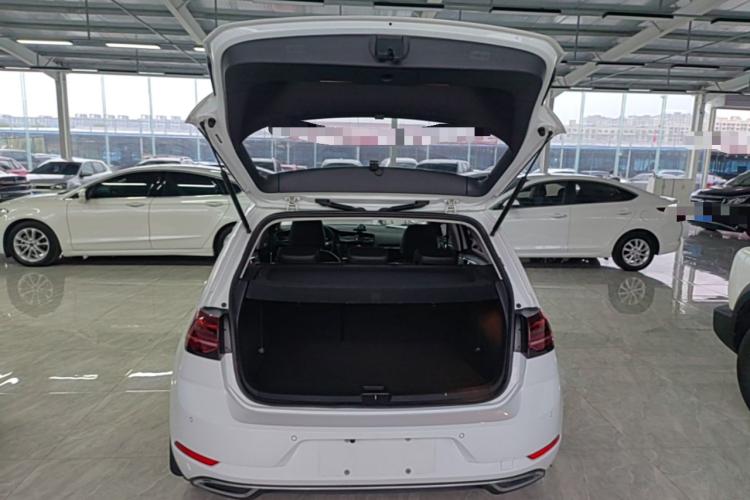 Volkswagen Golf 2019 #19 Volkswagen Golf 2019 car image #19