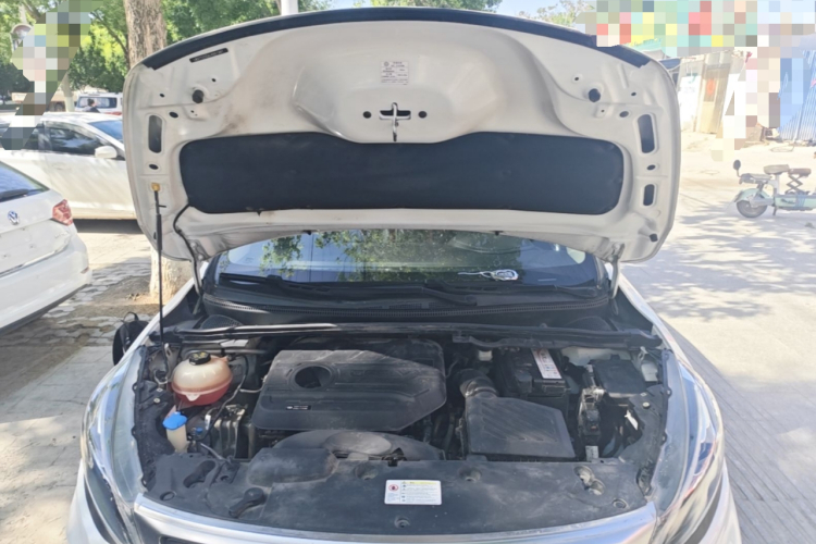 GEELY Emgrand GS 2020 #20 GEELY Emgrand GS 2020 car image #20