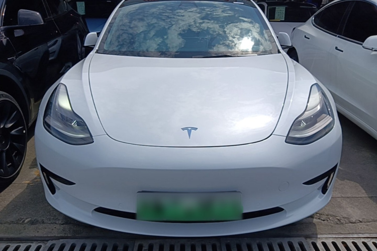 Tesla Model 3 2021 #3 Tesla Model 3 2021 car image #3