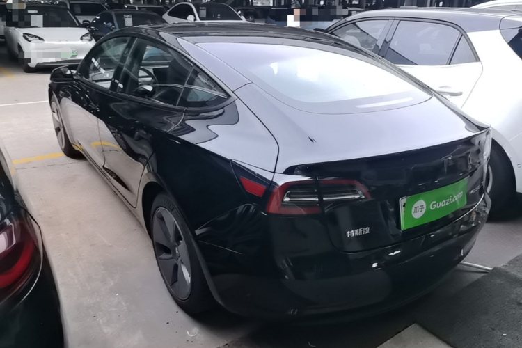 Tesla Model 3 2021 #5 Tesla Model 3 2021 car image #5