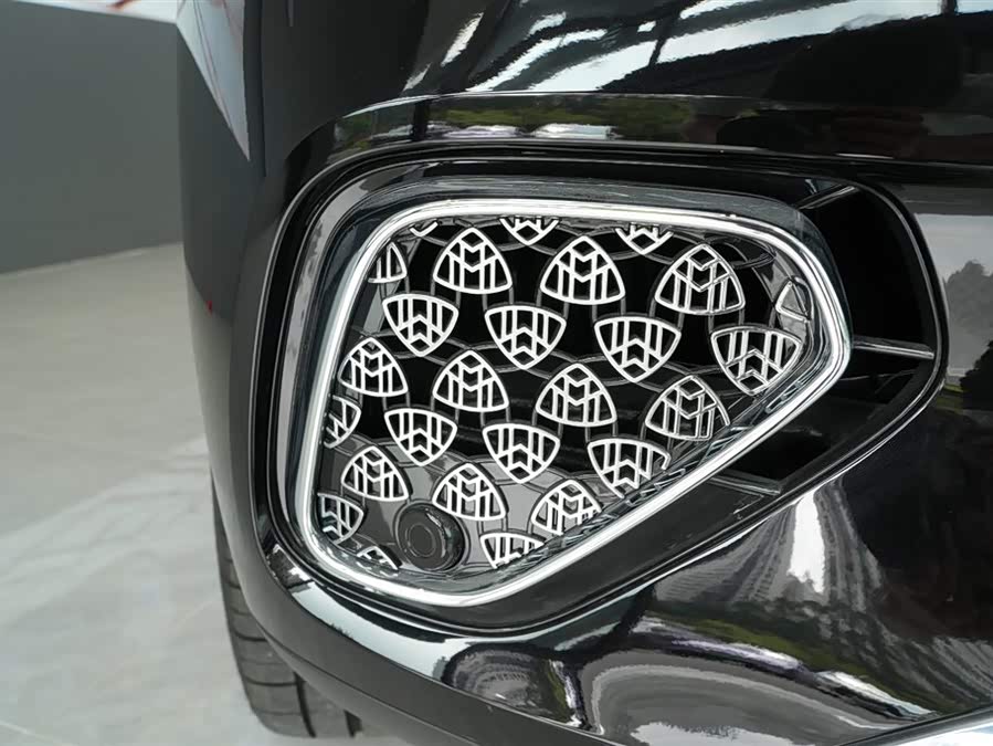 Mercedes-Benz Maybach GLS car image #24