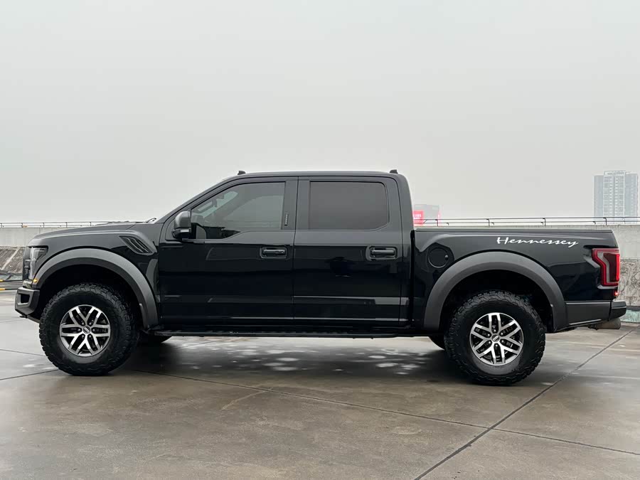 Ford F-150 Raptor 2017 car image #24