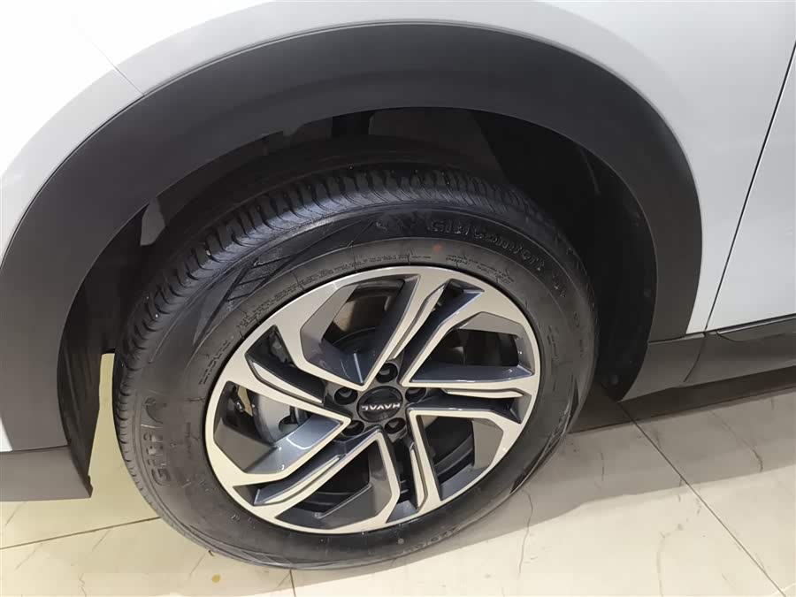 Haval Fierce Dragon 2024 car image #24