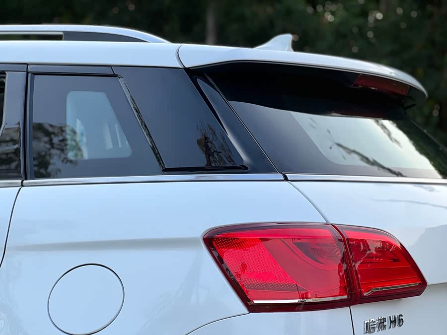 Haval H6 Coupe 2016 #24 Haval H6 Coupe 2016 immagine di auto #24