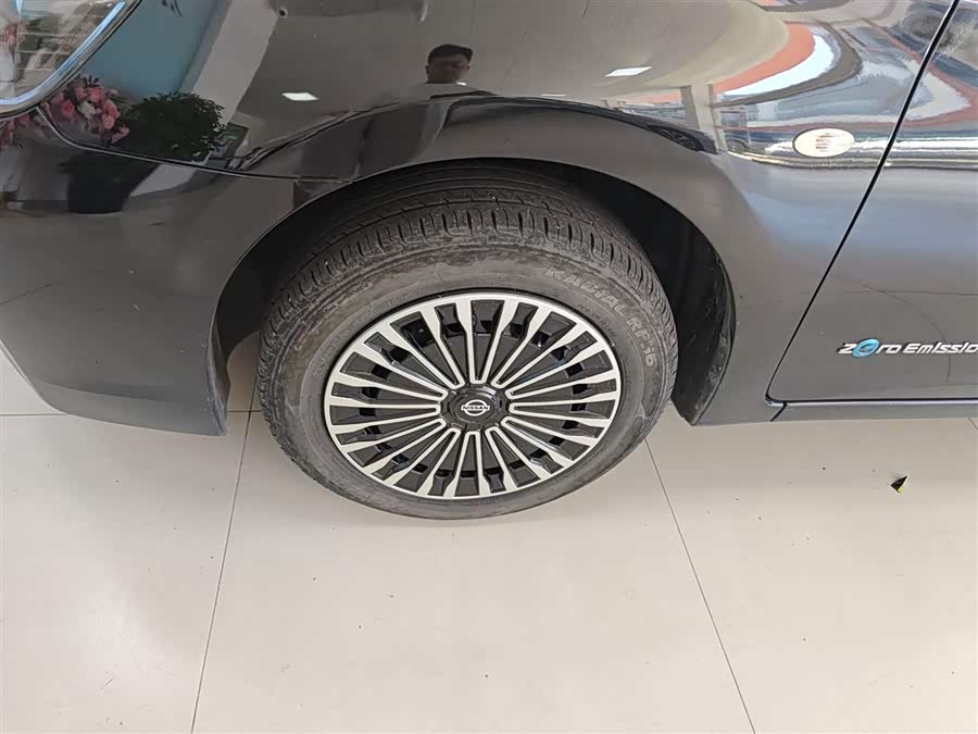 日产 轩逸·纯电 2020 汽车图片 #24