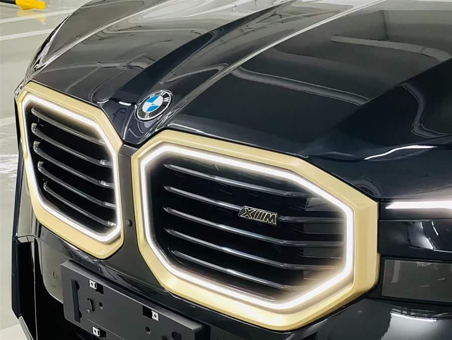 BMW XM 2025 car image #24