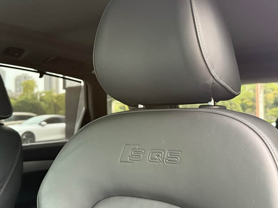 Audi SQ5 2016 #24 Audi SQ5 2016 изображение автомобиля #24