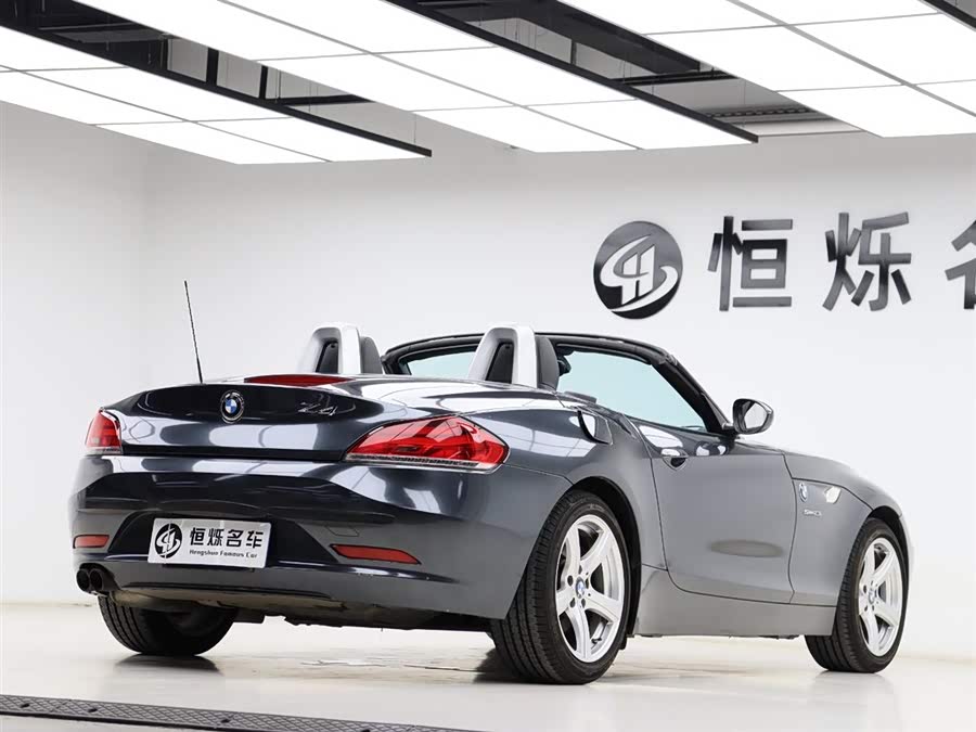 BMW Z4 2010 car image #24