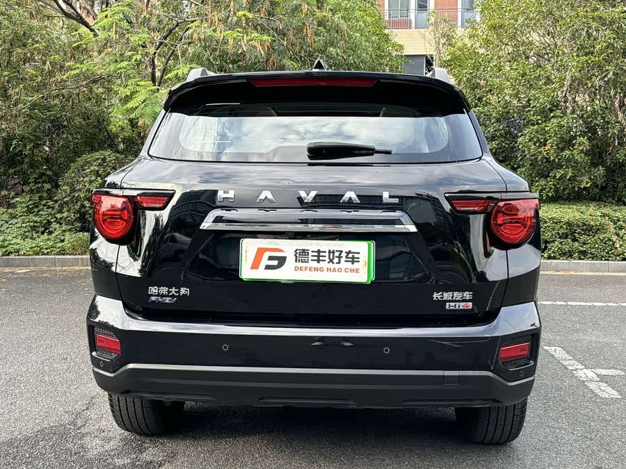 Haval X Dog 2 New Energy 2024 car image #24