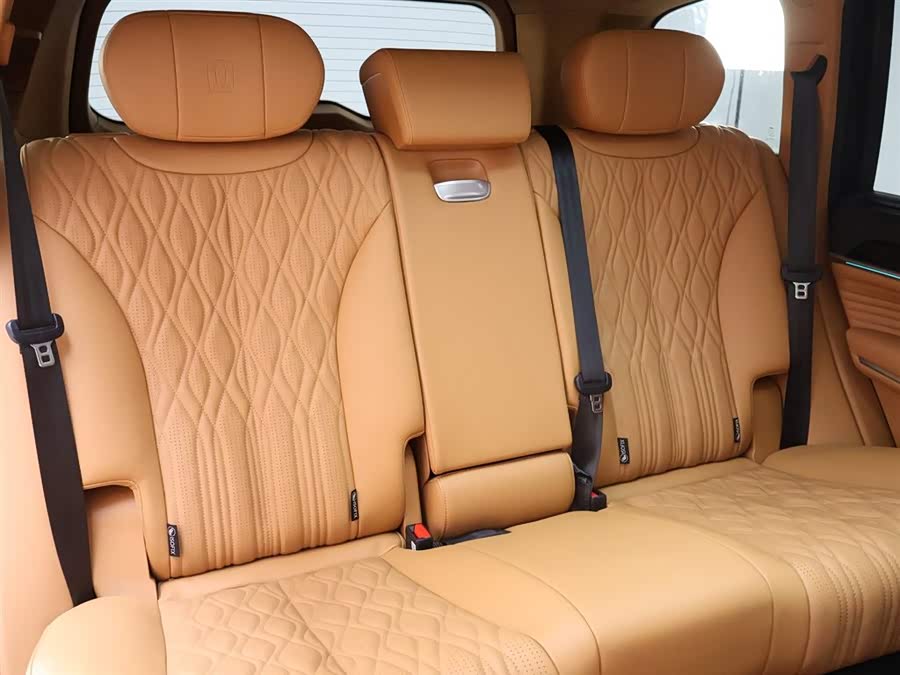 Tank 500 New Energy 2023 car image #24