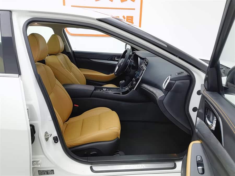 Nissan Maxima 2018 car image #24