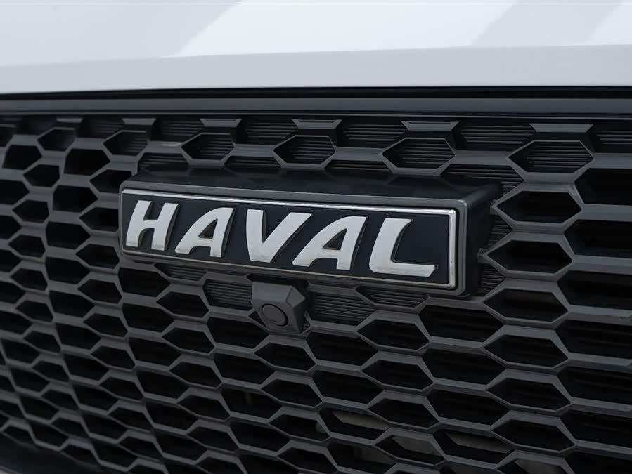 Haval H6 Coupe 2019 car image #24