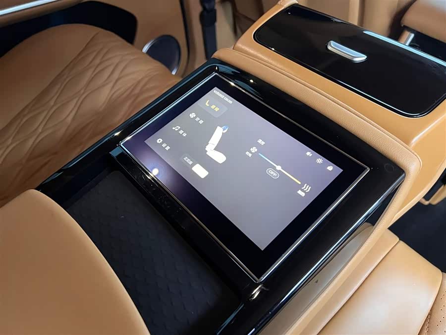 Tank 500 New Energy 2023 immagine di auto #24