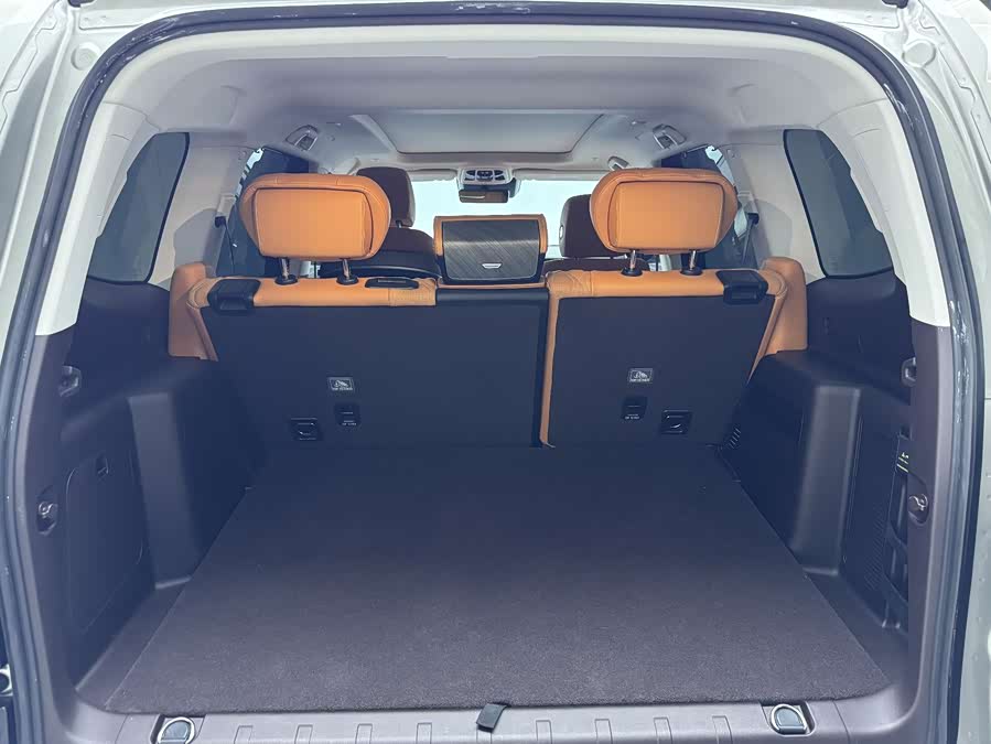 Tank 500 New Energy 2025 immagine di auto #24