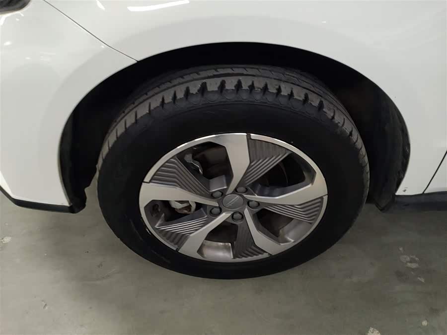 GEELY OkavangoPRO 2024 immagine di auto #24